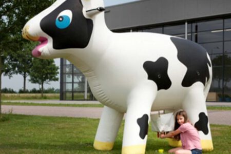 Ranja koe<br>Omschrijving: Ranja de koe leeg tijdens het melken Prijs: € 20,00incl. btw / per dag